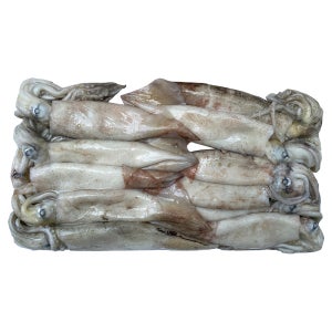 냉동오징어 3kg 3박스 10마리 마트납품용