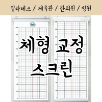 체형측정 스크린 격자 분석표 블라인드 체분석 자세평가 필라테스 모눈종이 자세교정 바디