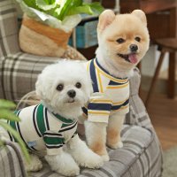 4DOGS 포독스 멀티스트라이프 크롭 티셔츠 강아지 고양이 패션의류