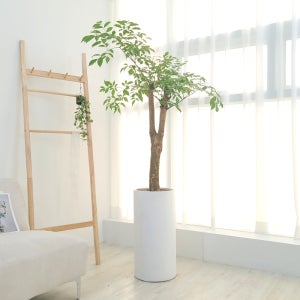 해피트리 행복나무 실내 집들이 개업선물 거실화분 인테리어식물 개업 축하 화분 배달