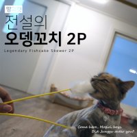 [망고펫] 고양이 오뎅꼬치 (2p)