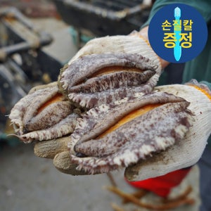 청산도 완도 활전복 1kg , 크기별, 꼬마 27미 부터 6미 까지 , 특대전복, 산지직송, 해수산소포장, 전복파머스