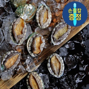 청산도 완도 활전복 1kg 크기별 꼬마 40미 부터 11미 대전복 산지직송 해수산소포장
