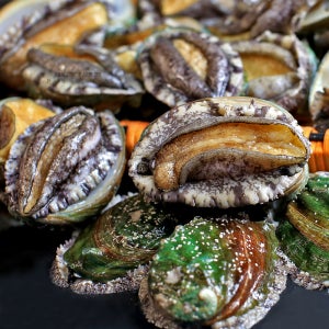 청산도 완도 활전복 1kg , 크기별, 꼬마 27미 부터 8미 까지 , 특대전복, 산지직송, 해수산소포장