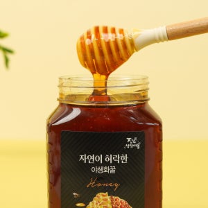 싸리재 천연 벌꿀 장수 성암마을 야생화꿀 잡화꿀 무첨가 500g, 1개