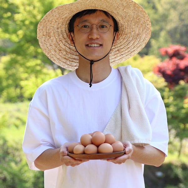 자연방사 동물복지 유정란 무항생제 사육환경번호1번 자유방목 계란 40구 시골다리
