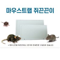 다이소 쥐끈끈이 쥐덧 쥐덫 10세트묶음(쥐잡는법 퇴치법 잡기 포수 퇴치 쥐약파는곳)