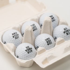 계란골프공 6구 병아리 캐릭터 문구 홀인원 행사 기념품 선물 볼빅 플라이온 3피스골프공