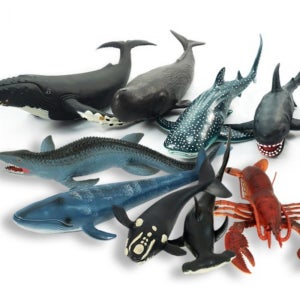 30cm 전후 말랑말랑 소프트 해양동물 모형 세트 고래 상어 백상아리 어린이집 교구