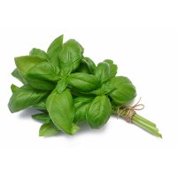 생바질 바질 500g BASIL 신선채소