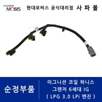 현대 순정 이그니션 코일 하니스 - 그랜저 6세대 IG LPG 3.0L LPi 엔진, 39610 3CFA0 ( 점화 코일 배선, 그랜져 )