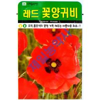 레드꽃양귀비씨앗 700립