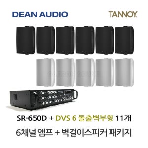 탄노이 벽부형스피커 DVS6 11개 매장앰프 6채널 SR-650D 상업공간용 음향패키지