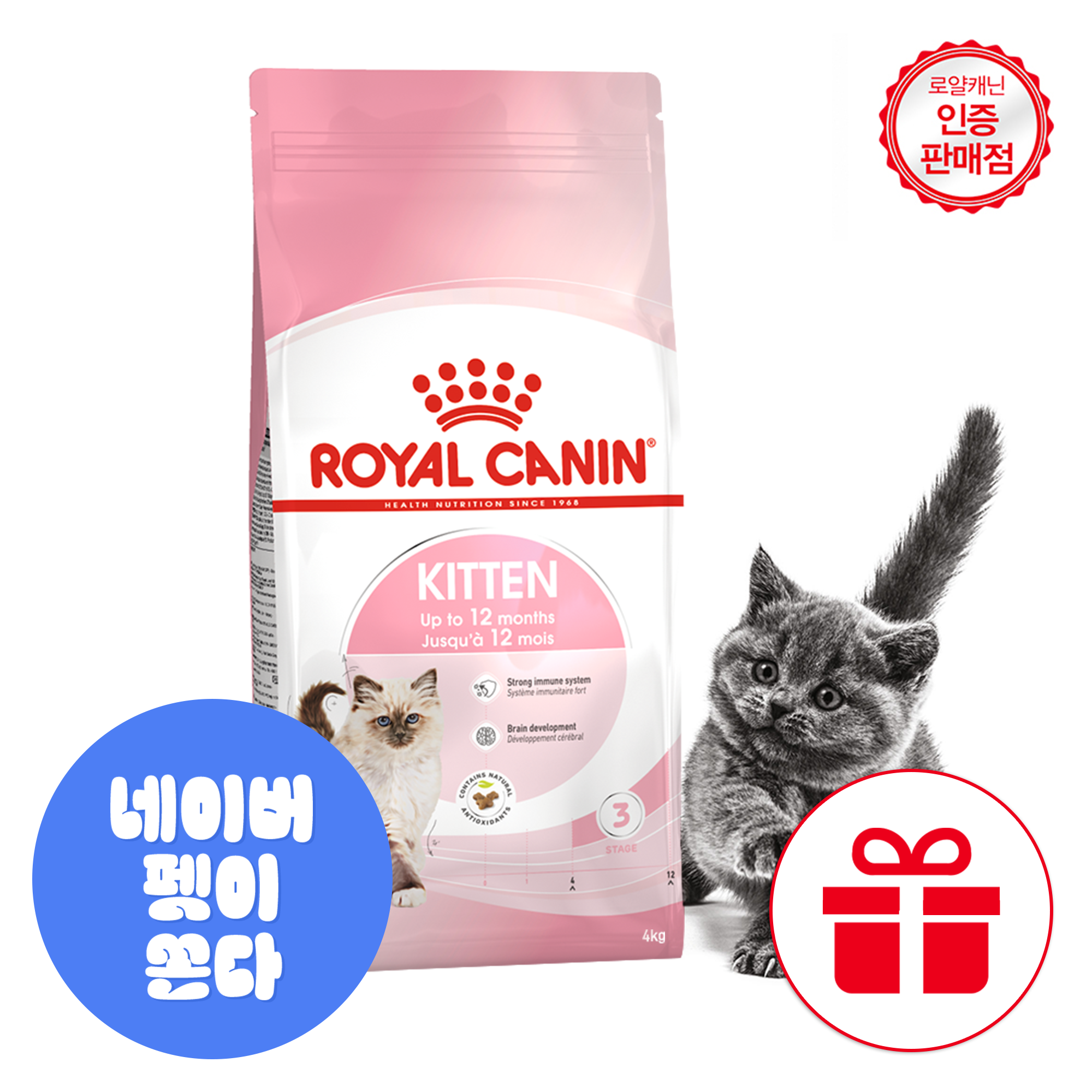 [고양이의날]로얄캐닌 키튼 4kg 아기 고양이 사료