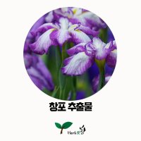 허브애향 창포추출물 천연재료 50ml