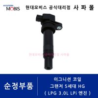 현대 순정 이그니션 코일 - 그랜저 5세대 HG LPG 3.0L LPi 엔진, 27301 3CEA0 ( 점화 코일, 그랜져 )