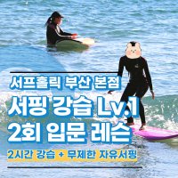 [서프홀릭 부산본점] 부산서핑/송정서핑 강습 LV1 2회 (입문) 레슨