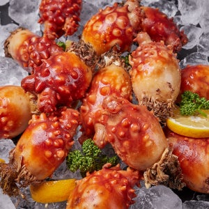 달콤한 바다향 살아있는 통영 멍게 깐멍게 통멍게 1kg 500g 제철 돌멍게 비빔밥