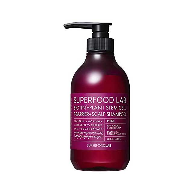 슈퍼푸드랩 BT P 바리어샴푸 480ml Supperfood LAB BIOTIN P barrier Scalp Shampoo 480ml 두피케어