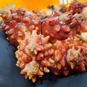 통영 생산자직판 횟감 손질 멍게 활멍게