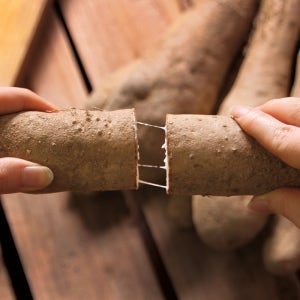 국내산 안동 마 참마 산마 장마 산지직송 중품 상품 특품 알뜰 5kg