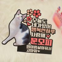 강아지, 고양이, 애완동물토퍼, 생일,케이크토퍼,UL