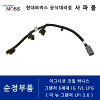 현대 순정 이그니션 코일 하니스 - 그랜저 6세대 IG F/L LPG, 더 뉴 그랜저 LPi 3.0, 39610 3CFA0 ( 점화 코일 배선, 그랜져, LPG )