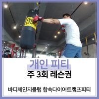 [바디체인지클럽 합숙다이어트캠프피티][부산진구] 서면전포동 개인피티 주 3회 레슨권