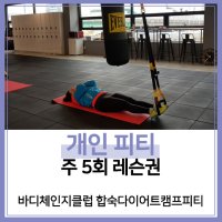 [바디체인지클럽 합숙다이어트캠프피티][부산진구] 개인피티 주 5회 레슨권