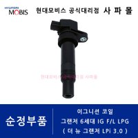 현대 순정 이그니션 코일 - 그랜저 6세대 IG F/L LPG, 더 뉴 그랜저 LPi 3.0, 27301 3CEA0 ( 점화 코일, 그랜져, LPG )