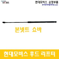 그랜져HG 리프터－후드 본넷트 쇼바 / 811613V001 / 811713V001