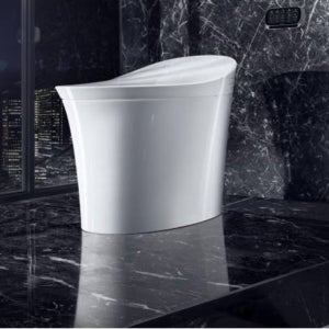[KOHLER] 콜러 베일 VEIL 고급 비데일체형양변기 K-5401-KR-0