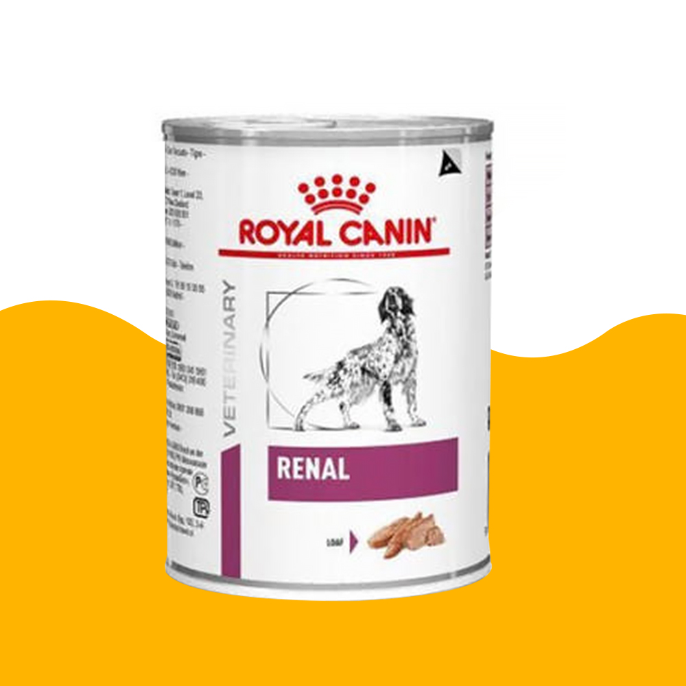 [로얄캐닌] 독 레날 캔 신장질환관리, 410g, 1개