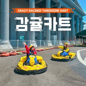 8월 할인가 제주 감귤카트 / 제주도 서귀포 액티비티 카트 이색체험 레이싱 야외 놀거리