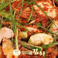 맛있는 도미솔 특선 겉절이 3Kg