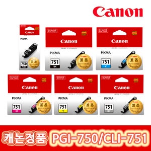 캐논 정품잉크 PGI-750 PIXMA IP7270 MX727 IX6770 IX6870