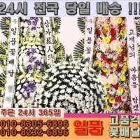 개업 소극장6번출구 공연장 연극 극장 부산 수영구 수영로 477 남천동 47-9 (결혼식장축하화환 전국당일배송3시간 주문24시365일 장례식장 고품격꽃배달)