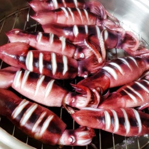 구룡포 초코오징어 국내산 통오징어 4미 통찜용 초콜릿 오징어통찜 오징어볶음 숙회 캠핑용