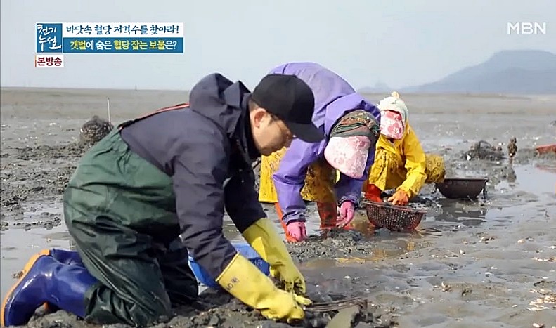 사계절칼국수 이미지