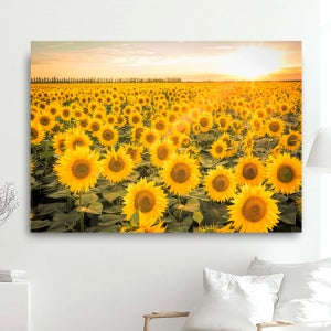 해바라기액자 그림 100x70cm 황금빛 해바라기들판 캔버스 돈들어오는 사무실 거실인테리어
