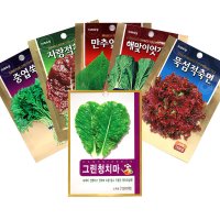 채소씨앗 10매입 (상추 치커리 방울토마토 쌈채소 채