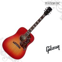 Gibson Montana Hummingbird 깁슨 몬타나 허밍버드