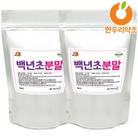 백년초 가루 600g 분말 선인장열매 효능