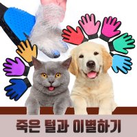 죽은털과 이별하기