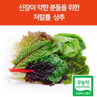 저칼륨채소 신장에좋은음식 샐러드 채소 상추 서유채 아쿠아포닉스