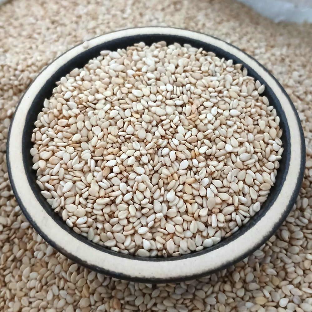 2024년산 중국산 참깨 1kg 수입깨 생참깨 통참깨 볶지않은깨