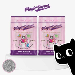 매직카펫 고양이 벤토나이트 모래 스몰 포테이토 (작은입자), 7kg, 2개