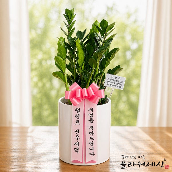 개업 축하화분 금전수 개업식 개원 승진 카페 병원 학원 거실 테이블형 선물
