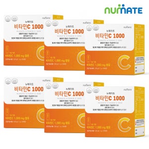 뉴메이트 비타민C 1000mg 1200정