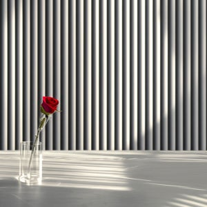 템바보드 붙이는 셀프인테리어 DIY 템파보드 490 템버 루바 원형 유백색 보닥 S115